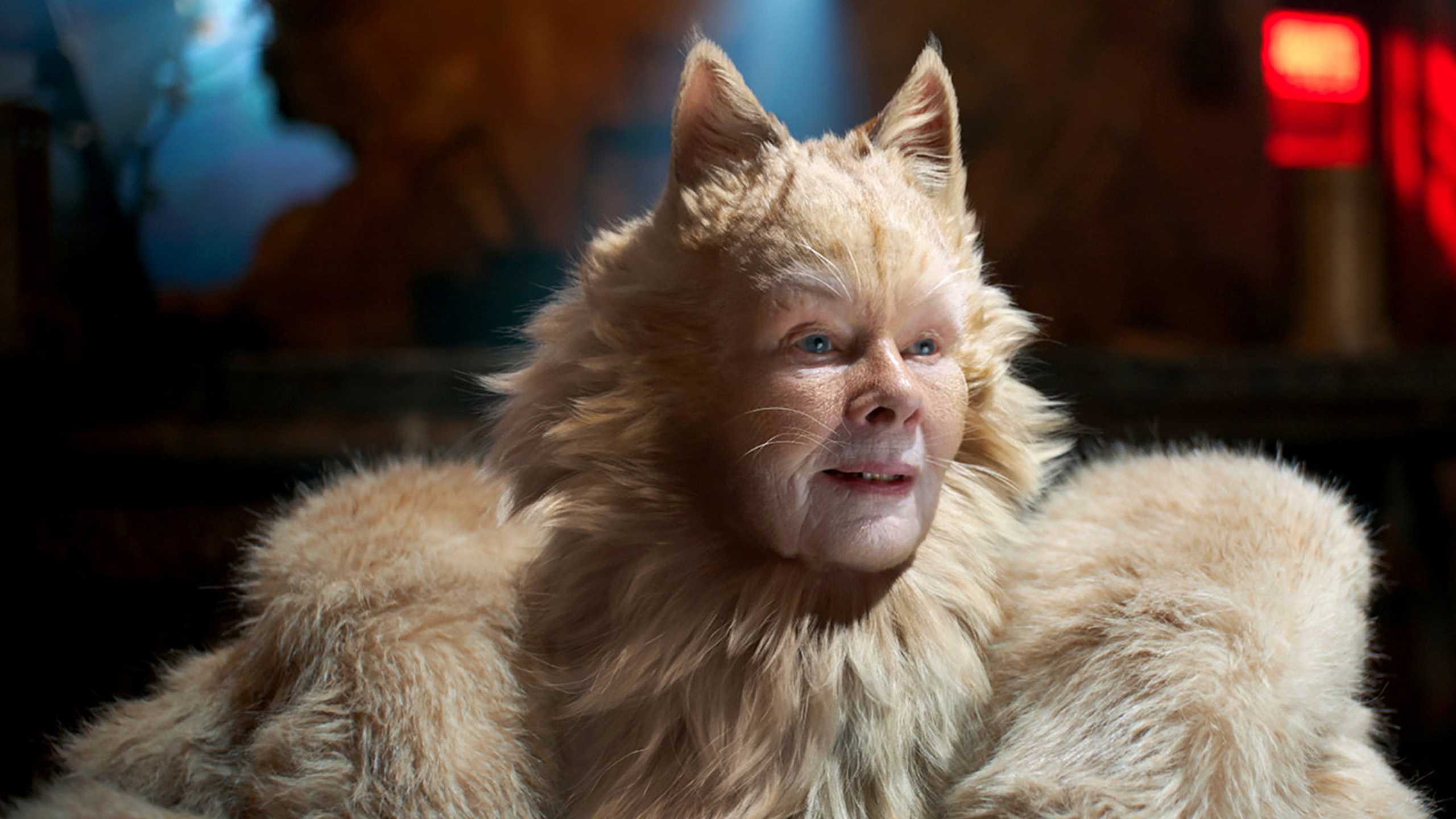 Cats