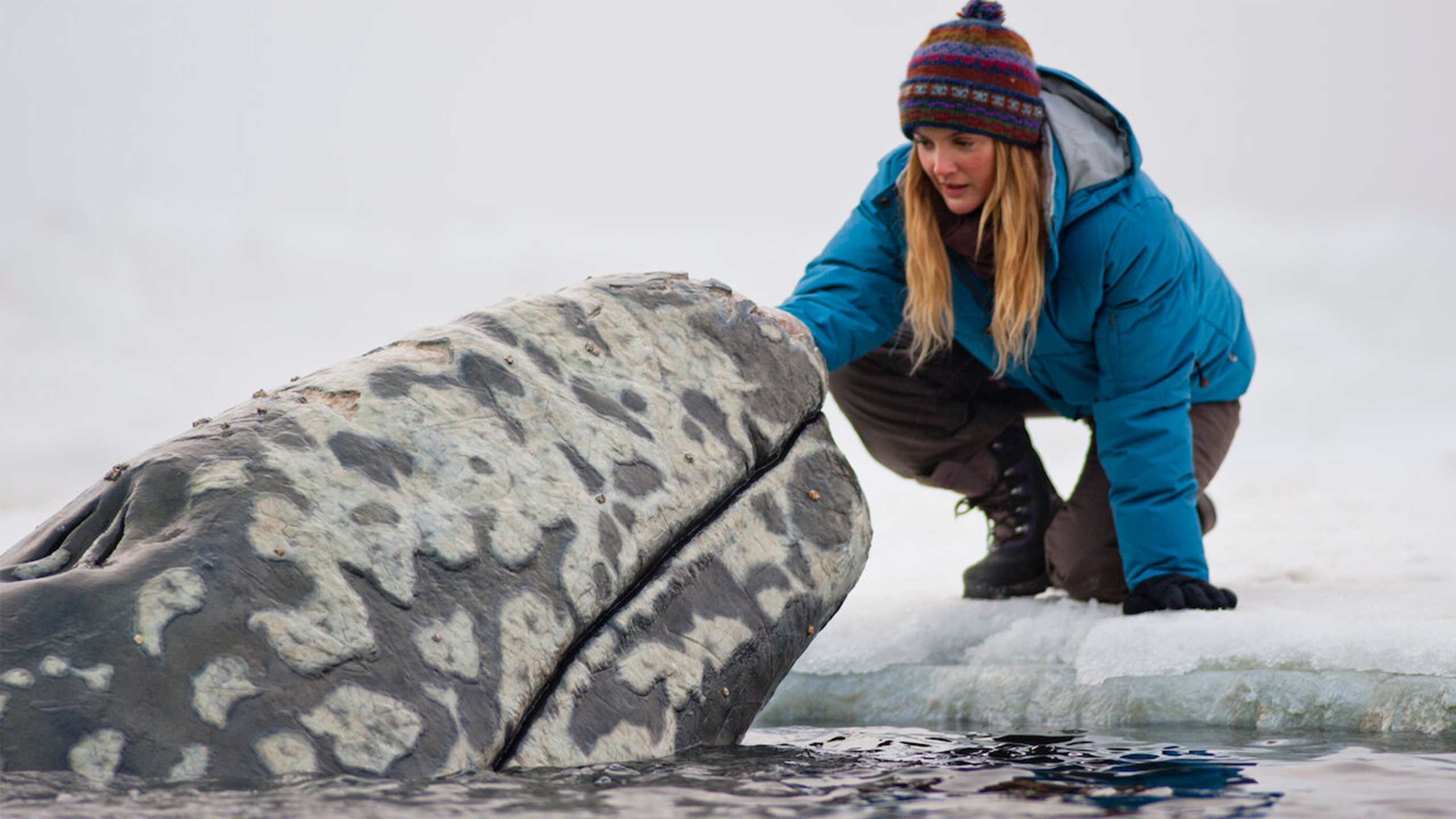 Big Miracle